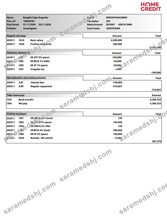 Home Credit Paystub